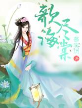 2004新澳门天天开好彩黑侠3